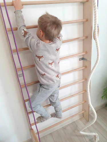 Stall Bars Swedish Ladder P220