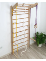 Stall Bars Swedish Ladder P220