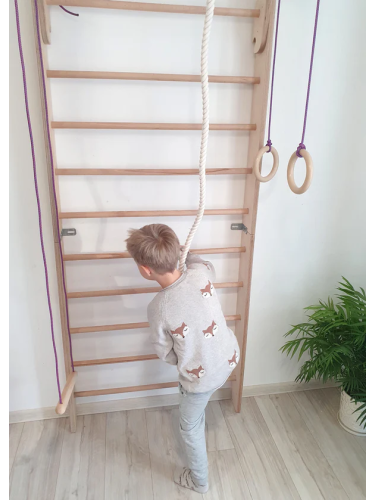 Wooden Swedish Ladder with Slider indoor playground Kittenfield K3200